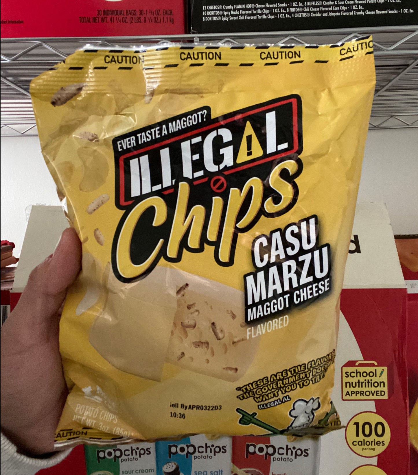 Illegal Chips Casu Marzu Maggot Cheese